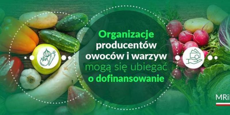 Wsparcie dla organizacji producentów owoców i warzyw - nabór wniosków