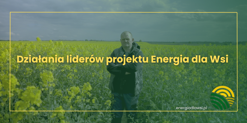 DZIAŁANIA LIDERÓW PROJEKTU ENERGIA DLA WSI