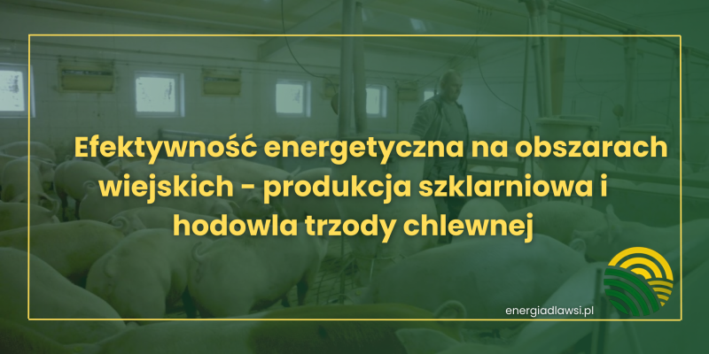 EFEKTYWNOŚĆ ENERGETYCZNA NA OBSZARACH WIEJSKICH - PRODUKCJA SZKLARNIOWA I HODOWLA TRZODY CHLEWNEJ