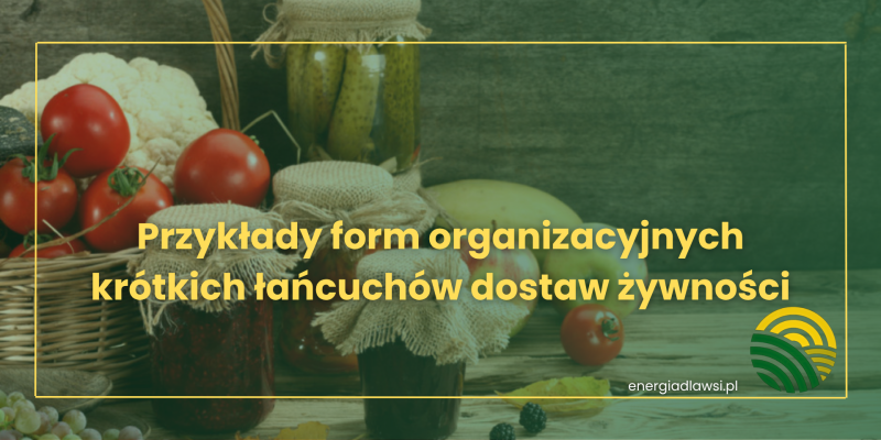 Przykłady form organizacyjnych krótkich łańcuchów dostaw żywności