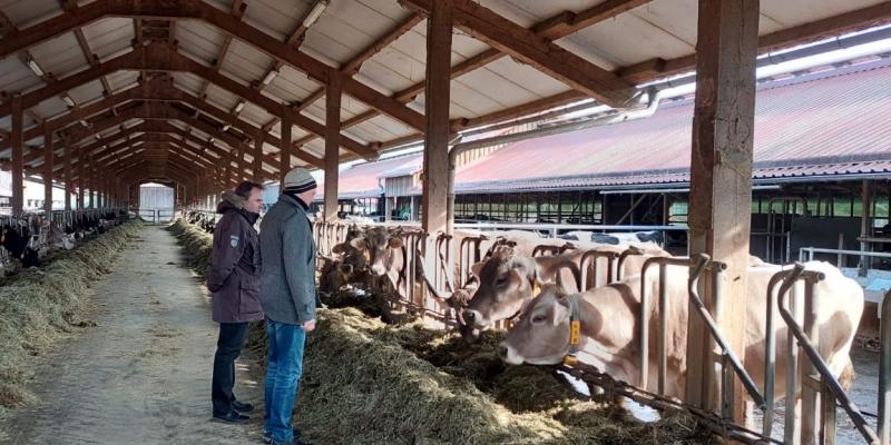 Odpowiednie warunki dla rolników mogą wesprzeć zrównoważoną produkcję mleka