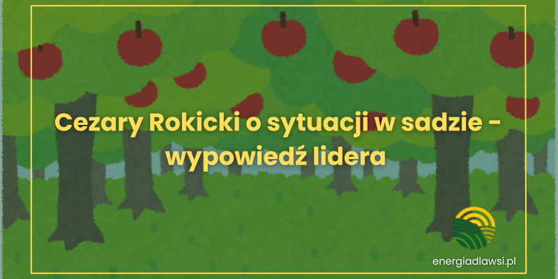 Cezary Rokicki o sytuacji w sadzie - wypowiedź lidera 