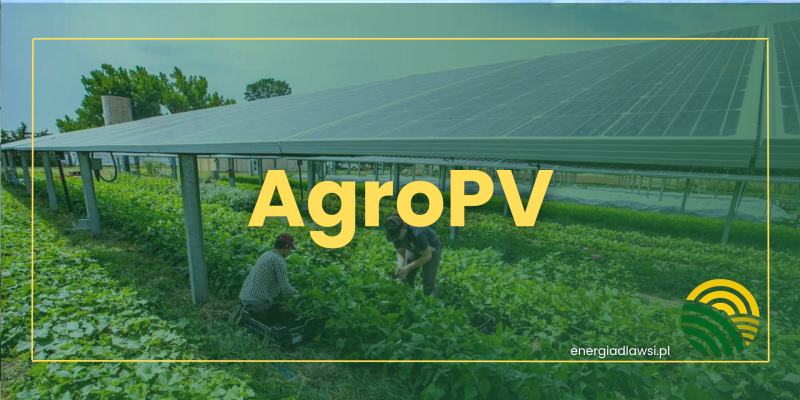 Agrofotowoltaika i jej rola