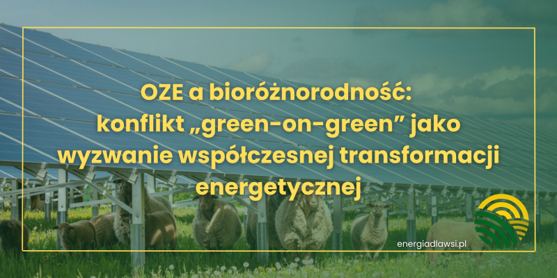OZE a bioróżnorodność: konflikt „green-on-green” jako wyzwanie współczesnej transformacji energetycznej