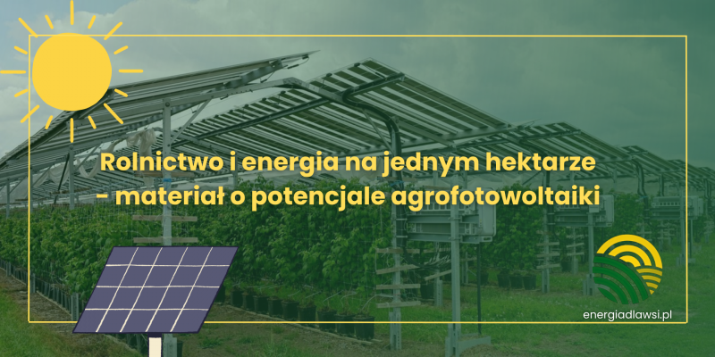 Rolnictwo i energia na jednym hektarze - materiał o potencjale agrofotowoltaiki