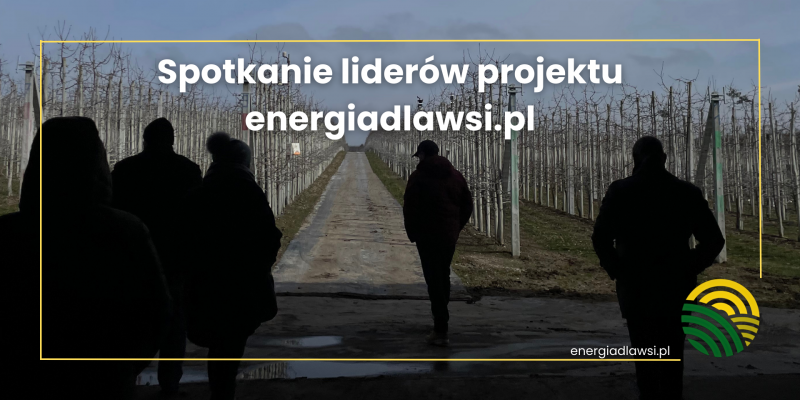 Spotkanie liderów projektu energiadlawsi.pl - w Sadzie Rokickim
