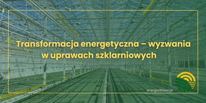 TRANSFORMACJA ENERGETYCZNA - WYZWANIA W UPRAWACH SZKLARNIOWYCH