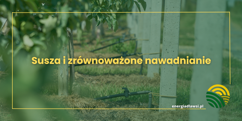O wodzie w rolnictwie - susza i zrównoważone nawadnianie- Water in Agriculture – Drought and Sustainable Irrigation