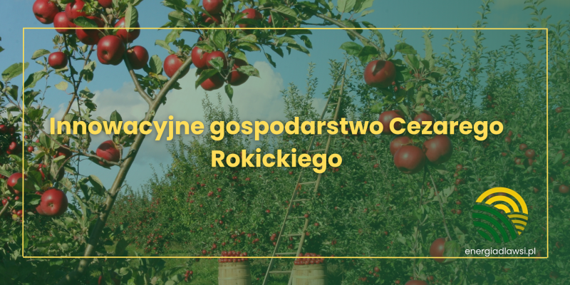 Innowacyjne gospodarstwo Cezarego Rokickiego