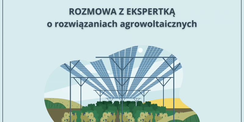 Rozmowa z ekspertką o rozwiązaniach agrowoltaicznych