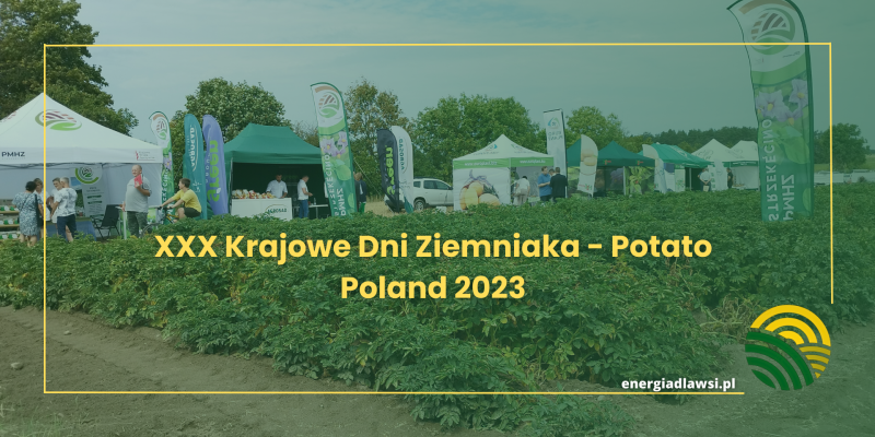 Eksperci Energia Dla Wsi na wydarzeniu XXX Krajowe Dni Ziemniaka  - Potato Poland 2023